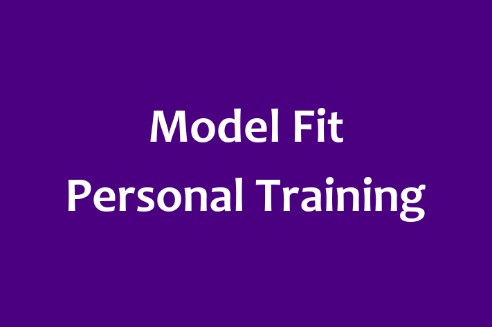 Model Fit Personal Training