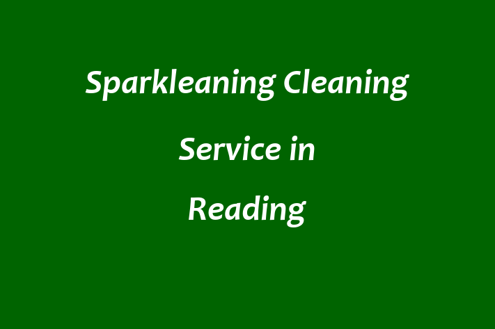 Sparkleaning   Cleaning Service in Reading