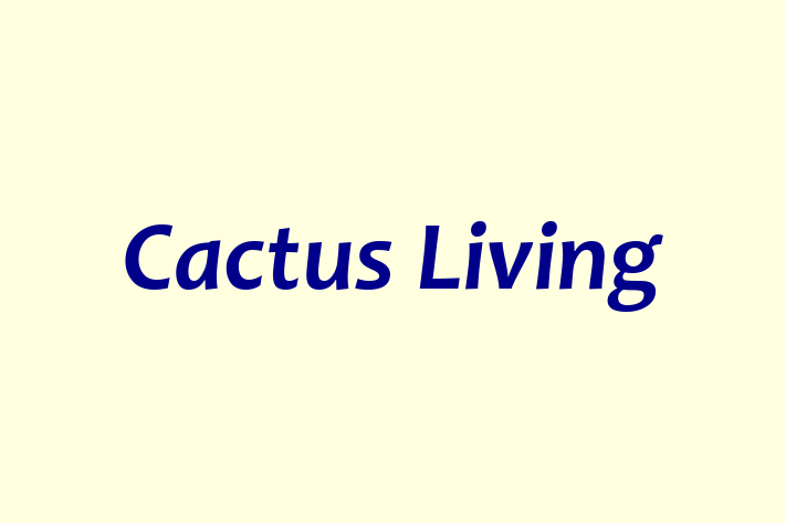 Cactus Living