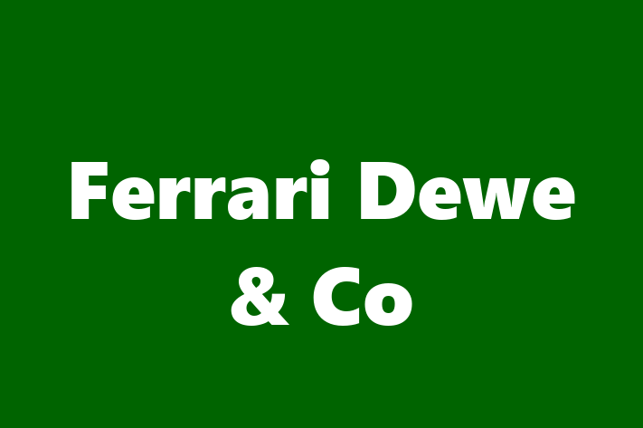 Ferrari Dewe & Co