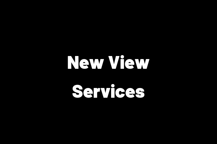 New View Services