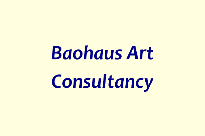 Baohaus Art Consultancy