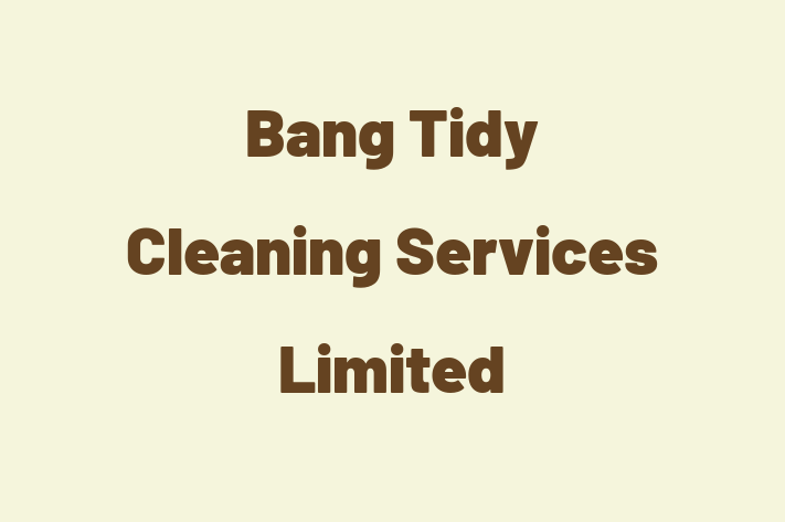 Bang Tidy Cleaning Services Limited