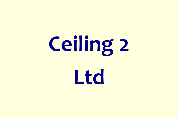 Ceiling 2 Ltd