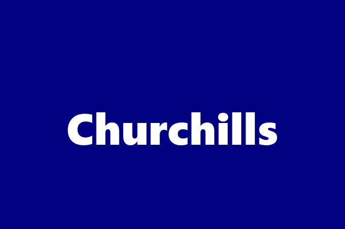 Churchills