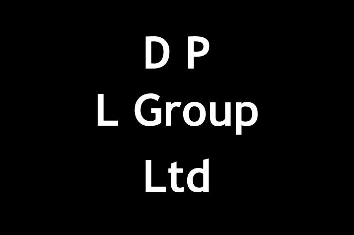 D P L Group Ltd