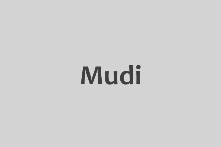 Mudi Dog for Sale in Mansfield