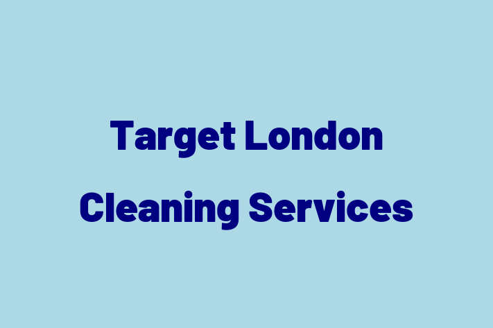 Target London Cleaning Services