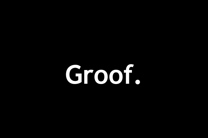 Groof 