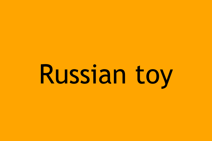 Russian toy for Sale in Loughborough