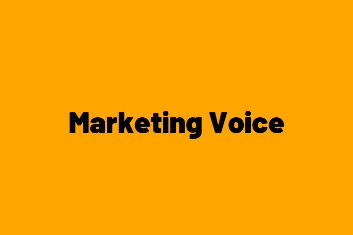 Marketing Voice