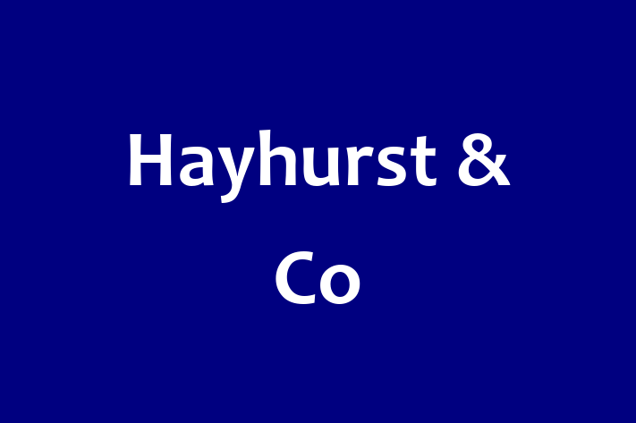 Hayhurst & Co