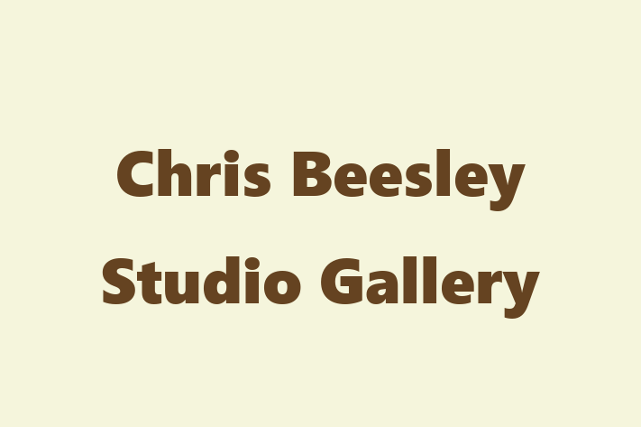 Chris Beesley Studio Gallery