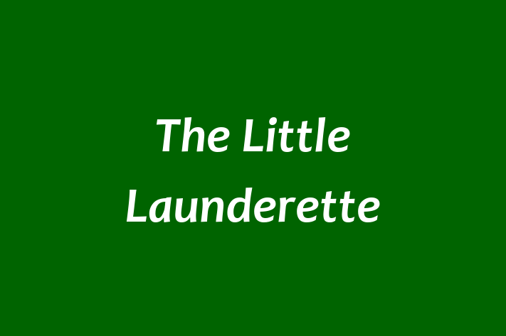 The Little Launderette