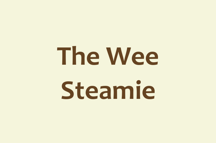 The Wee Steamie