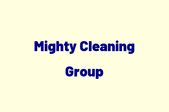 Mighty Cleaning Group