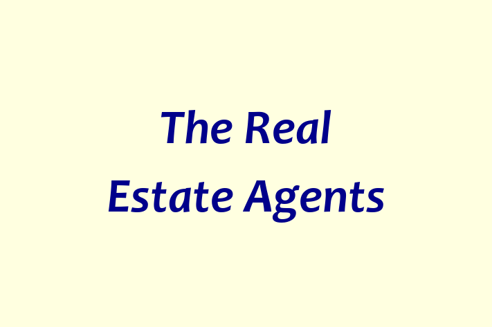 The Real Estate Agents