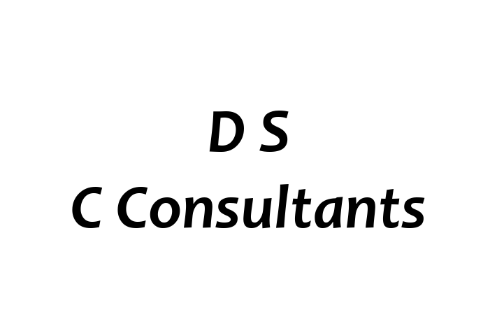 D S C Consultants