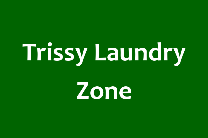 Trissy Laundry Zone