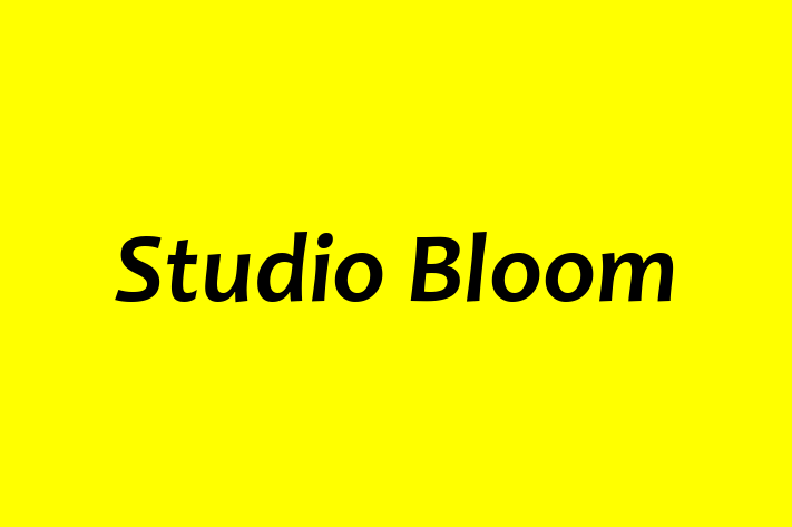 Studio Bloom