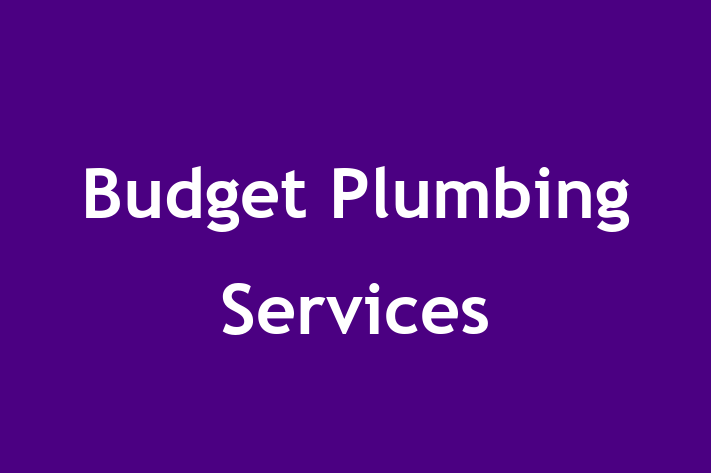 Budget Plumbing Services