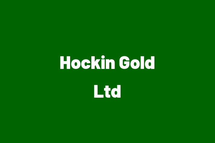 Hockin Gold Ltd