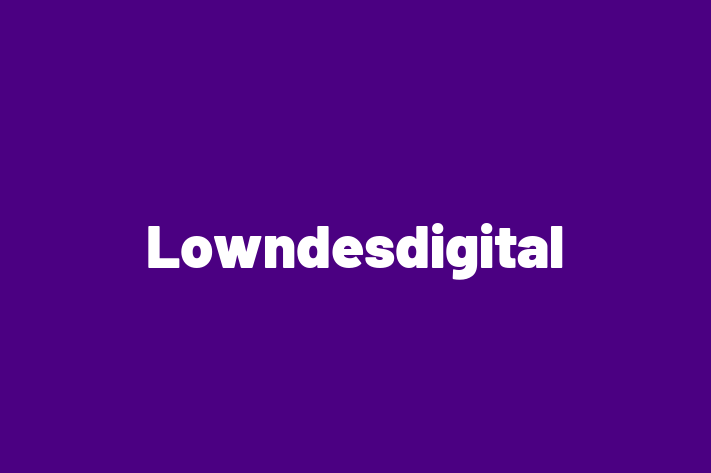 Lowndesdigital