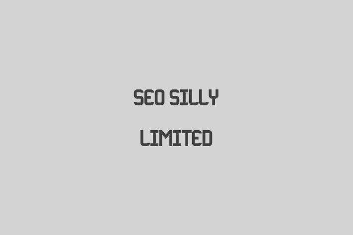 Seo Silly Limited