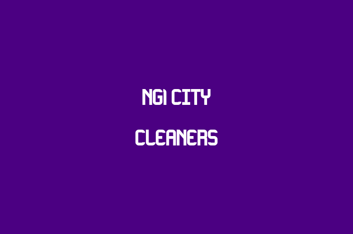 NG1 City Cleaners