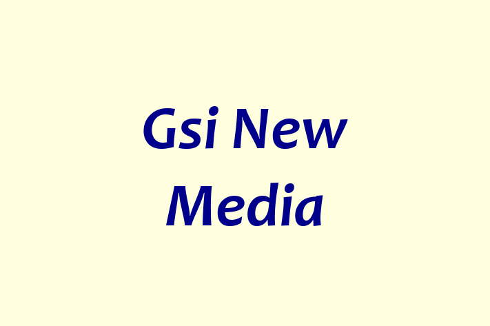 Gsi New Media