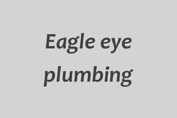 Eagle eye plumbing