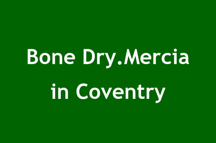 Bone Dry Mercia in Coventry