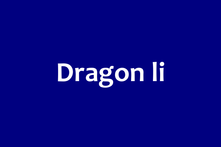 Adopt a Cat Dragon li Available in Wigan