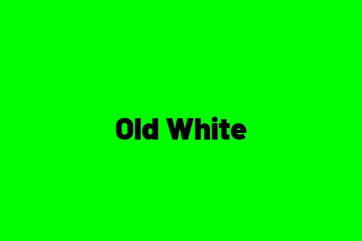 Old White