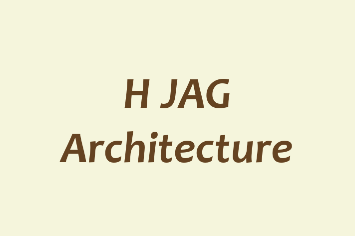 H JAG Architecture