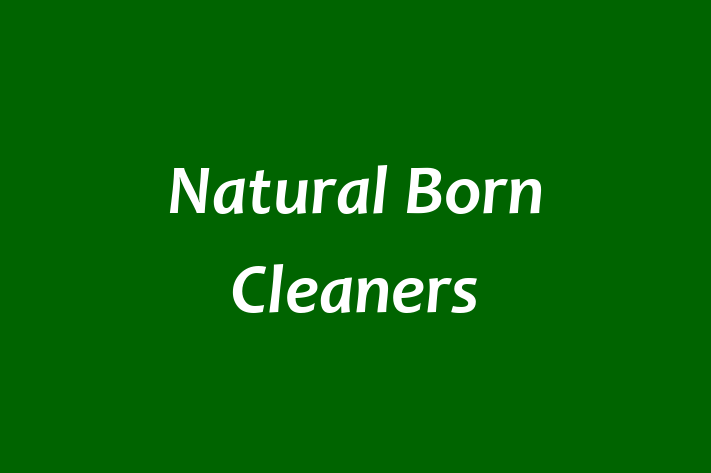 Natural Born Cleaners