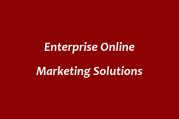 Enterprise Online Marketing Solutions