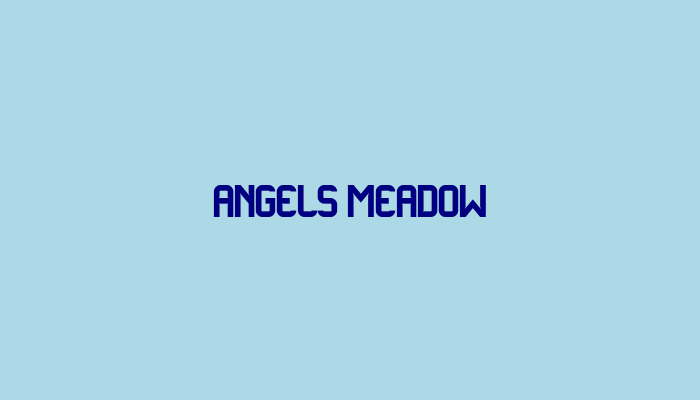 Angels Meadow