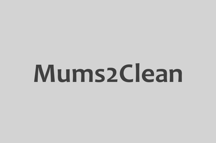 Mums2Clean