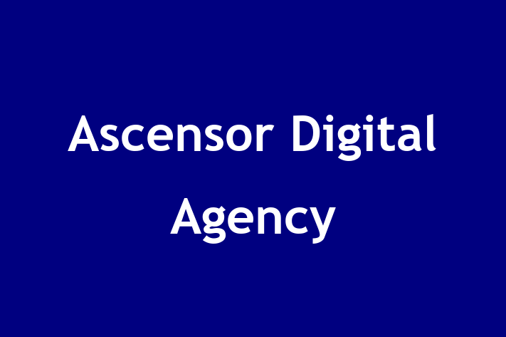 Ascensor Digital Agency