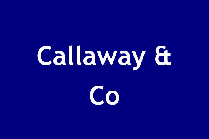 Callaway & Co