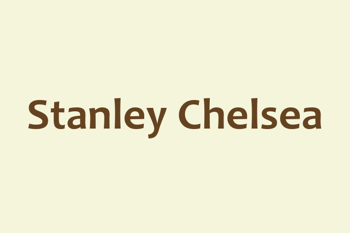 Stanley Chelsea