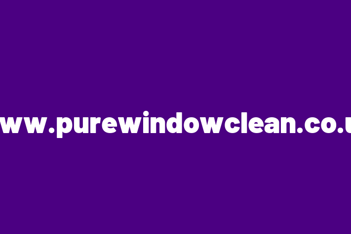 www purewindowclean co uk