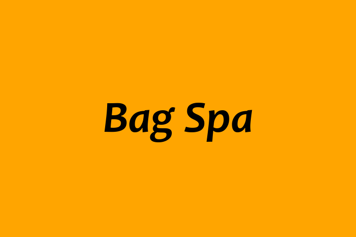 Bag Spa