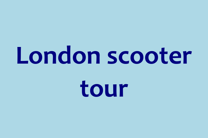 London scooter tour