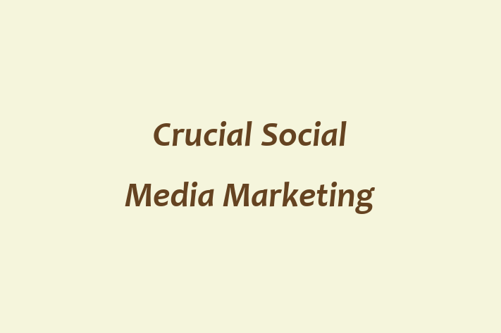 Crucial Social Media Marketing