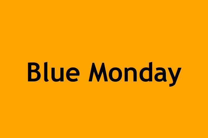 Blue Monday