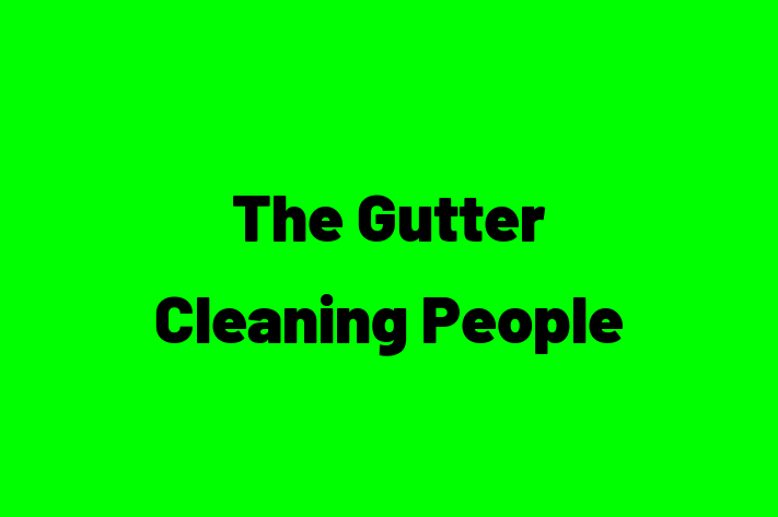 The Gutter Cleaning People