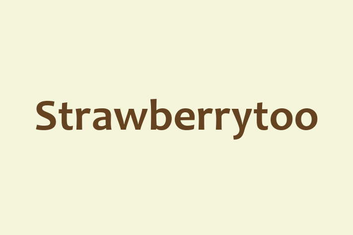 Strawberrytoo