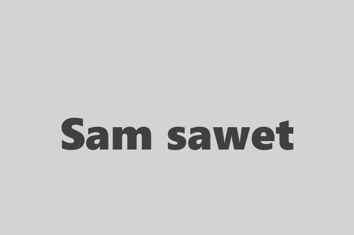 Cat Sam sawet for Sale in Bangor